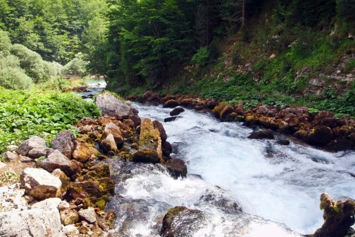 Rafting on river tara with Montenegro Adventure