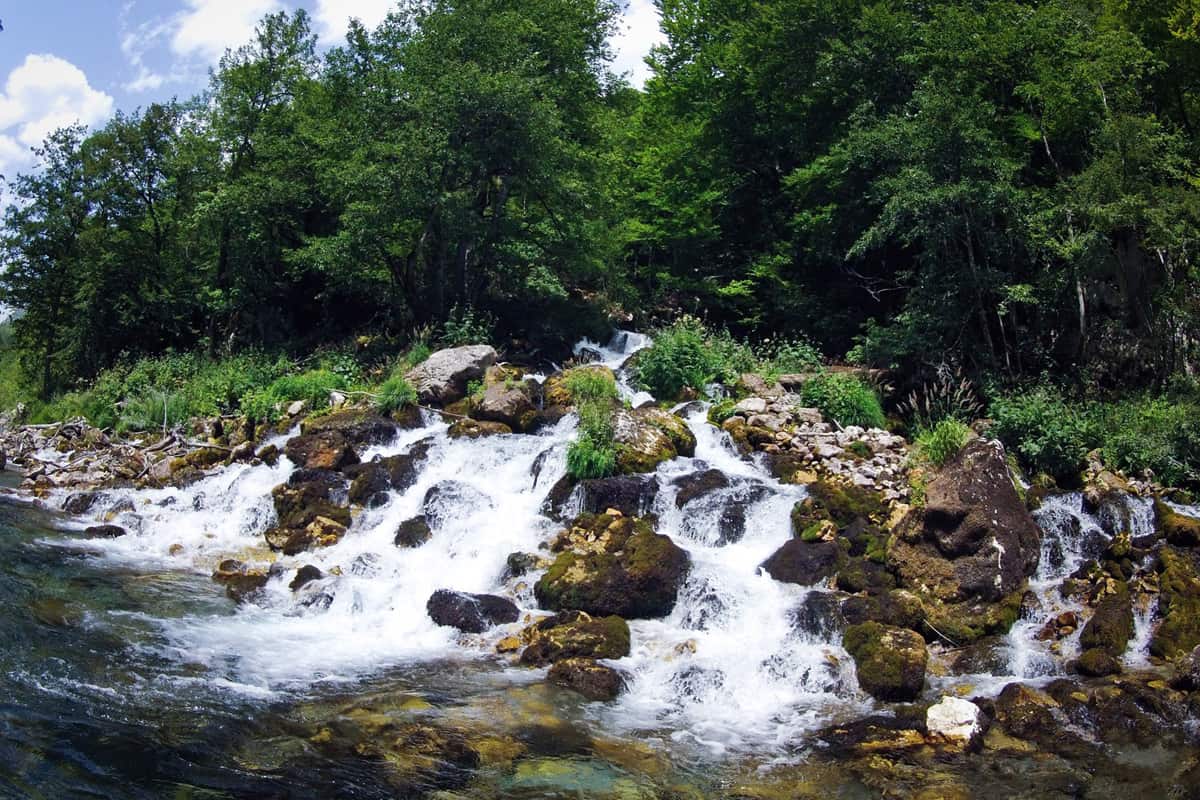 Rafting on river tara with Montenegro Adventure
