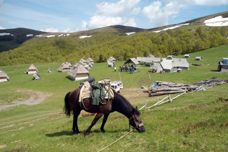 Horse riding, Montenegro