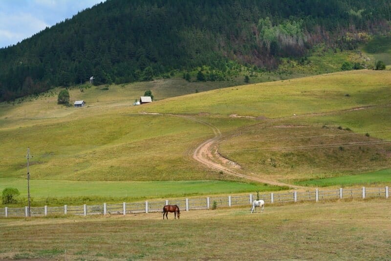 Riding a horse, Kosanica Pljevlja