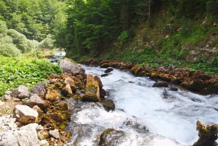 Rafting Tara, amazing experience