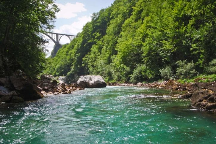 Rafting Tara View Montenegro Adventure