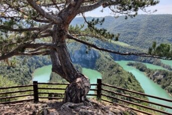 The Meandri Cehotine River runs through the rugged landscape and through a green forest in Pljevlja
