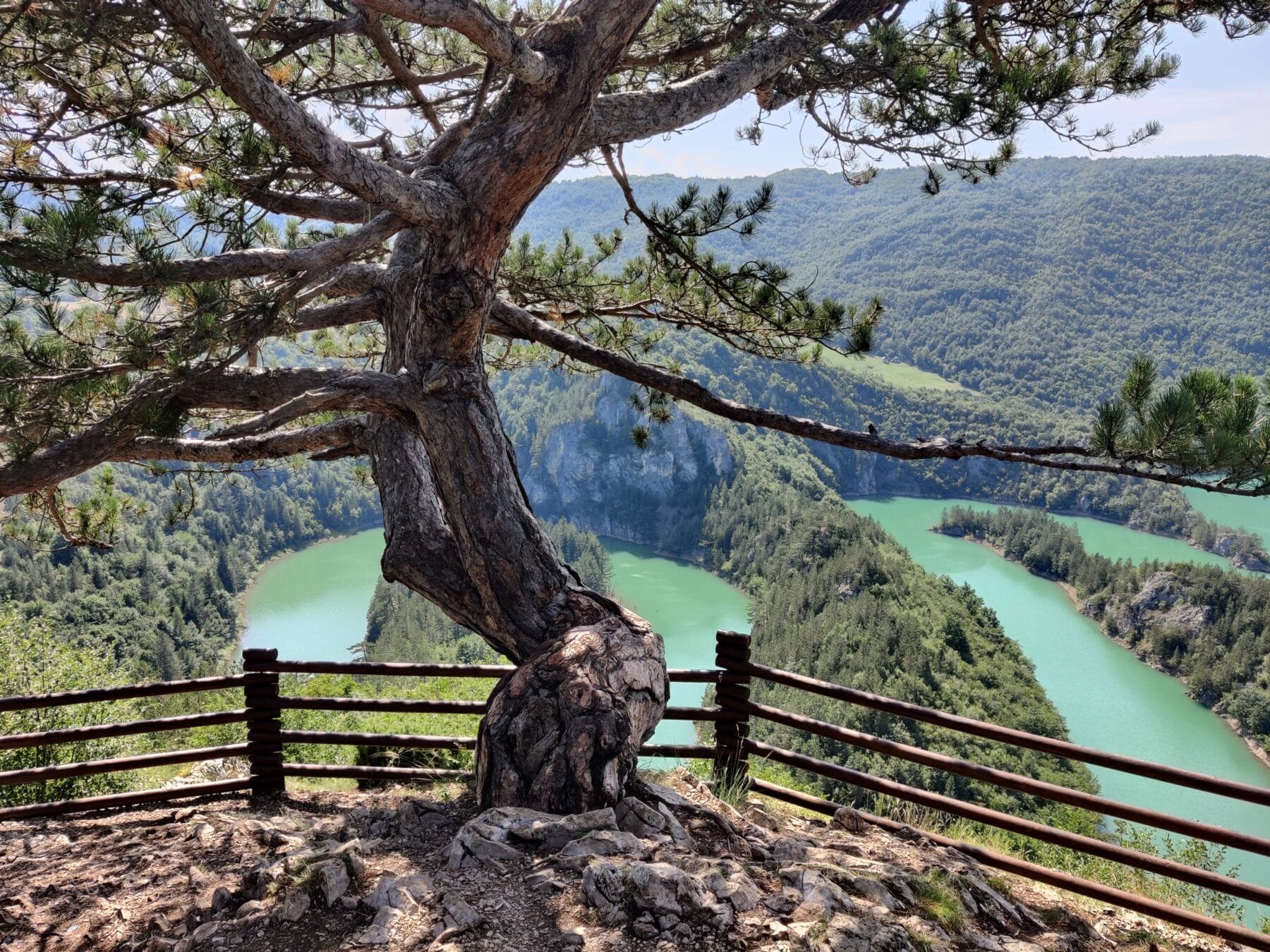 The Meandri Cehotine River runs through the rugged landscape and through a green forest in Pljevlja