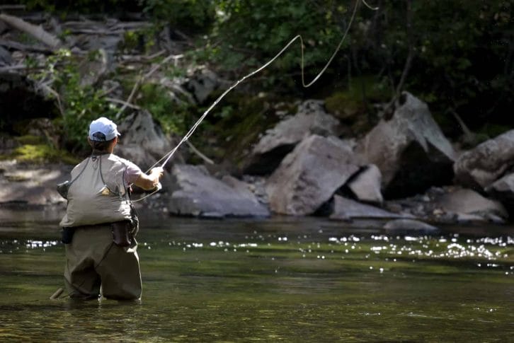 Fly fishing Tara river
