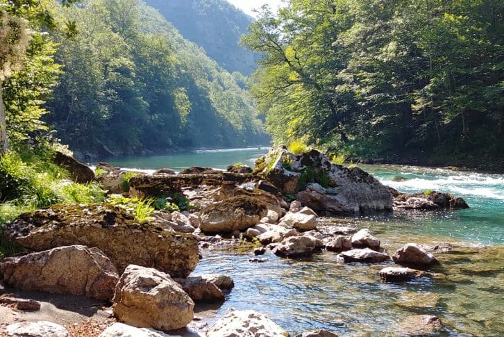 Fly fishing adventure in tara river