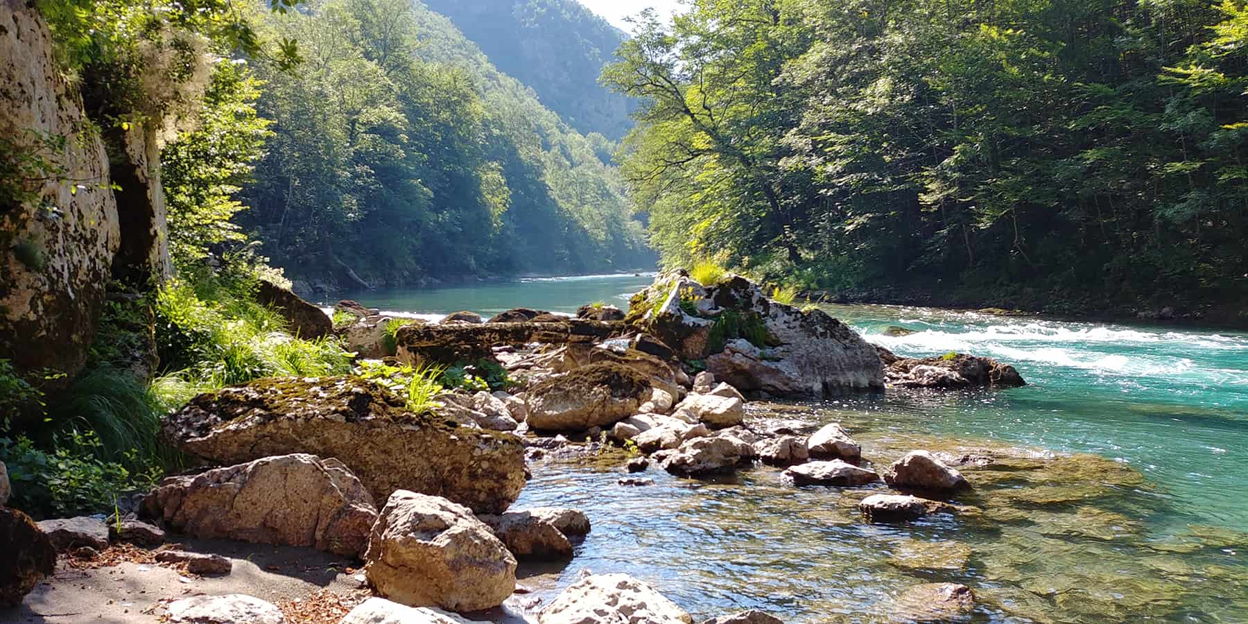 Fly fishing adventure in tara river