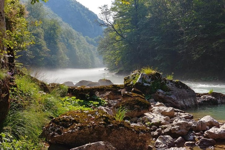 Fishing on Tara Canyon