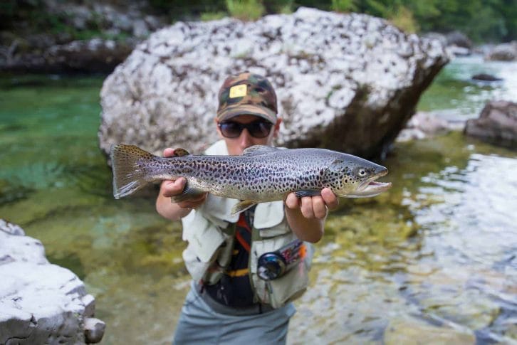 Fisherman holding a brown trout in river