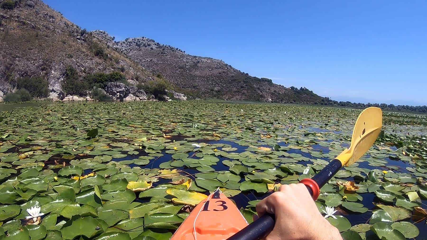 Kayak on Skadar Lake at a sunny day