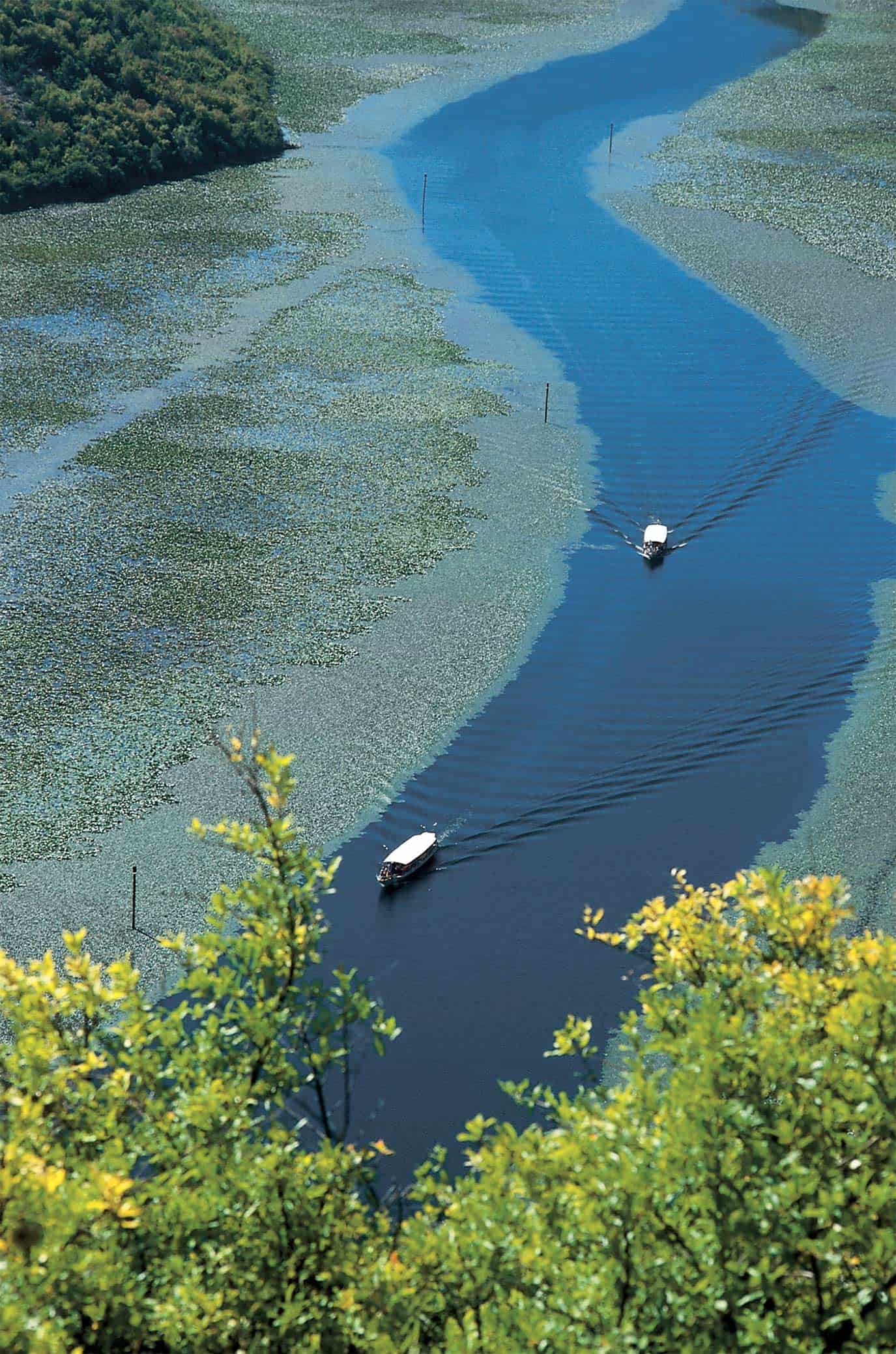 Two boats on Skadar Lake, Montenegro