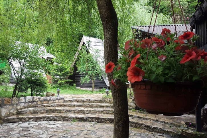 Flowers in garden rafting houses, Tara