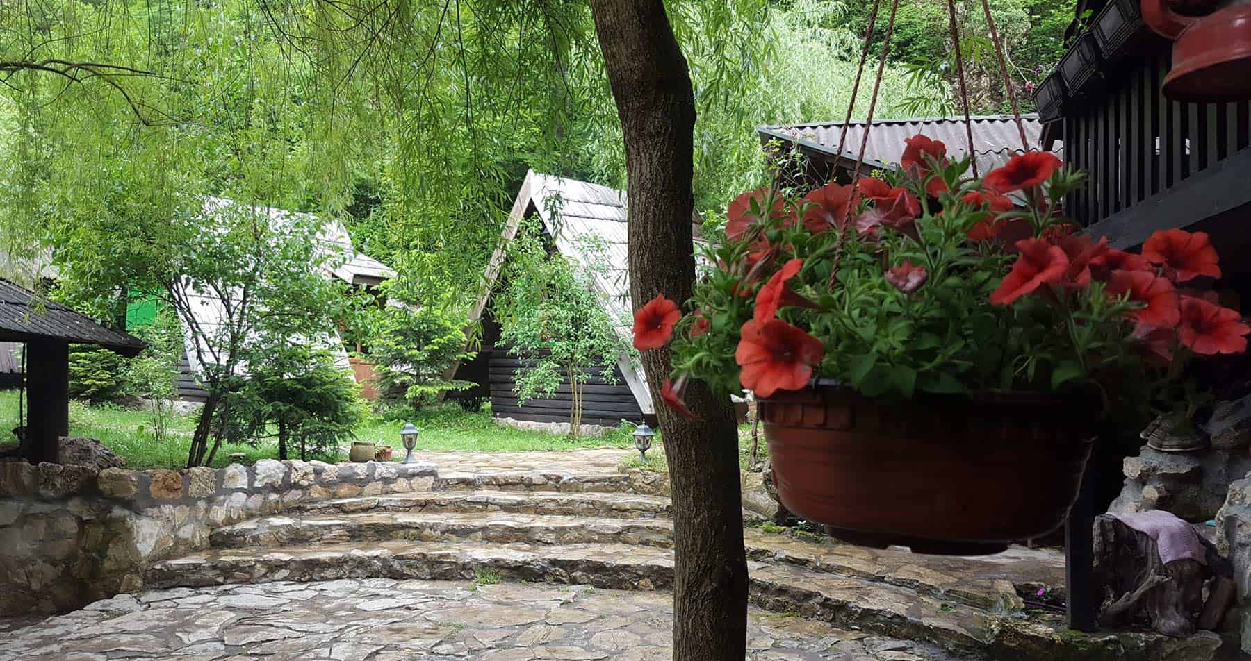 Flowers in garden rafting houses, Tara