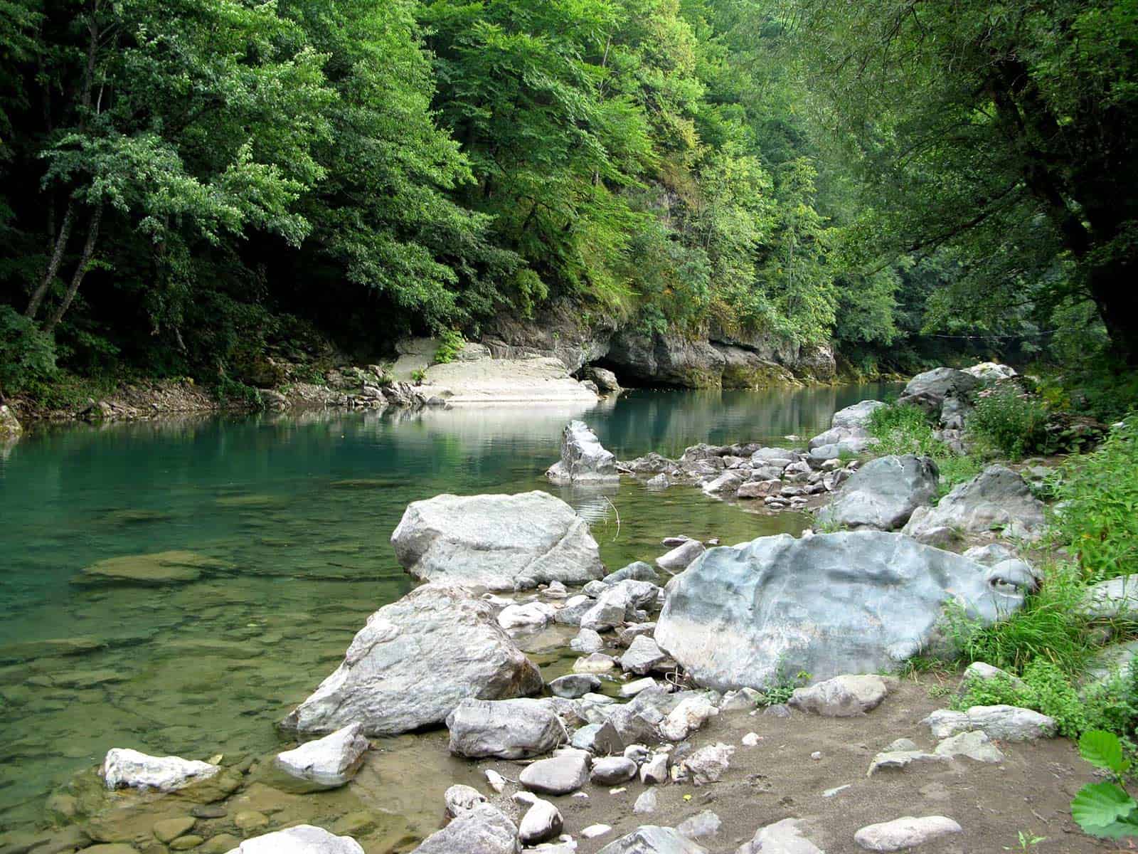 Beautiful view of the tara river