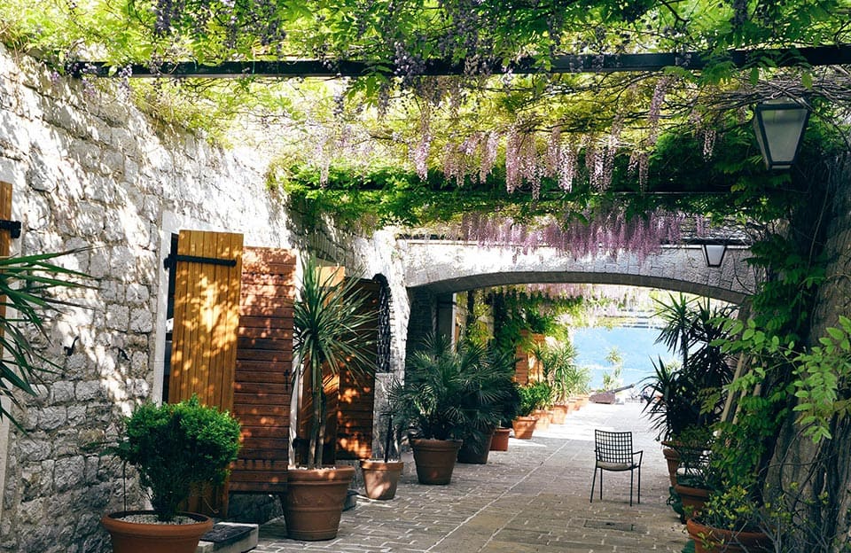 Cozy street in Budva covered in fauna