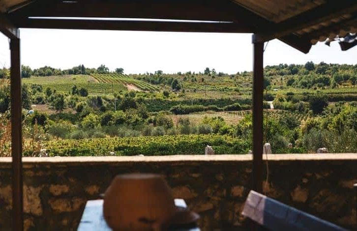 Milovic winery, view