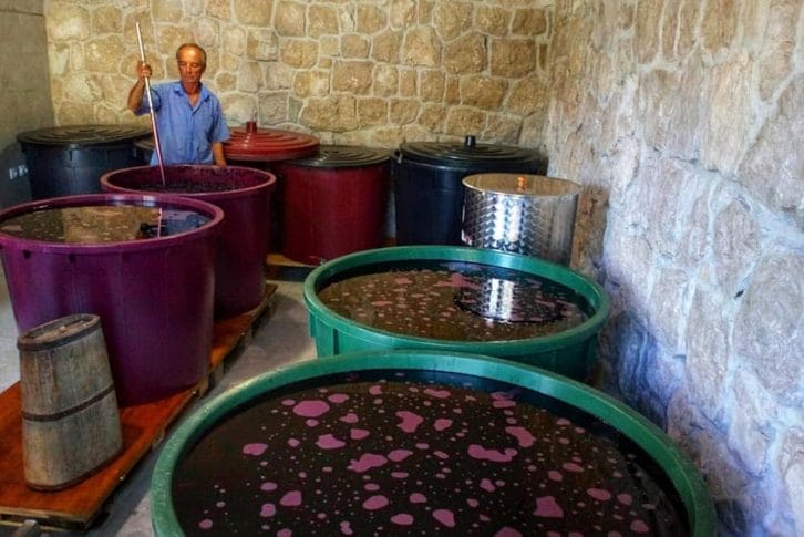 Mrkan winery, preparation Montenegro