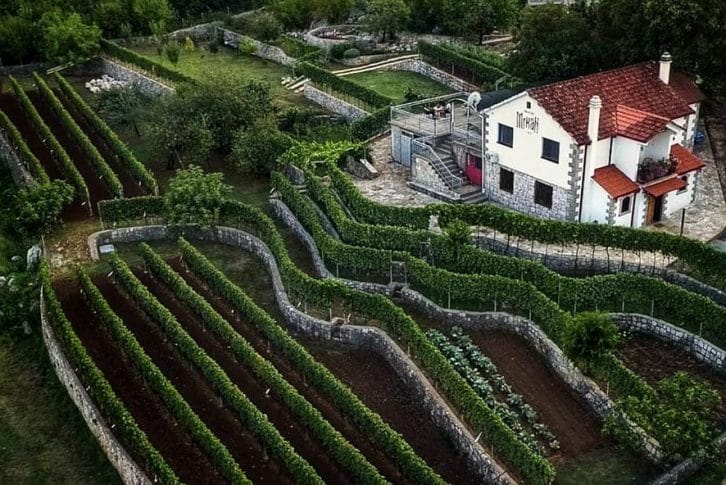 Mrkan winery yard, Montenegro