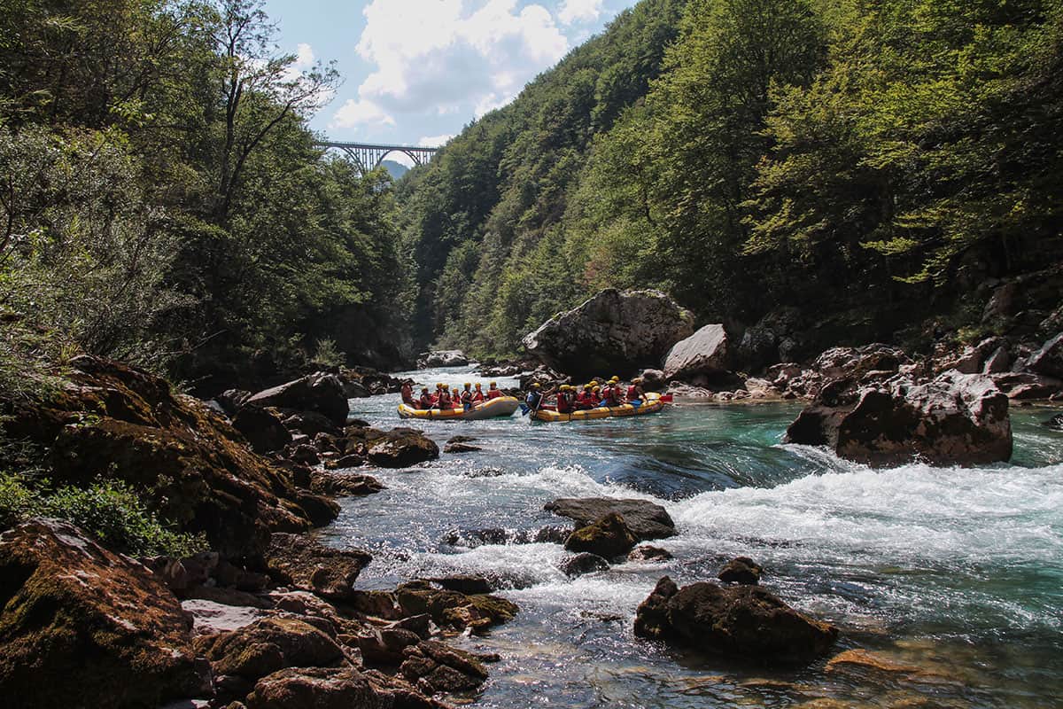 Rafting on Tara river