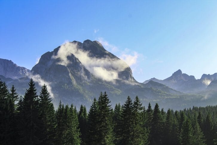 Peak Medjed and forest on Durmitor in Northern Montenegro