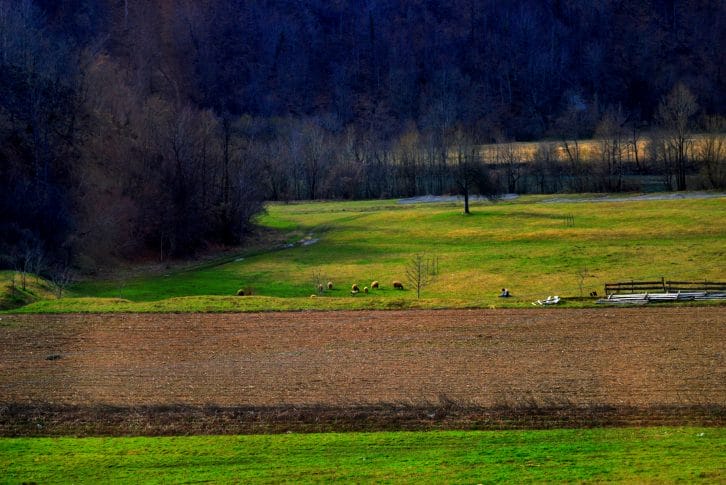 From Mojkovac toward the bridge on Tara river