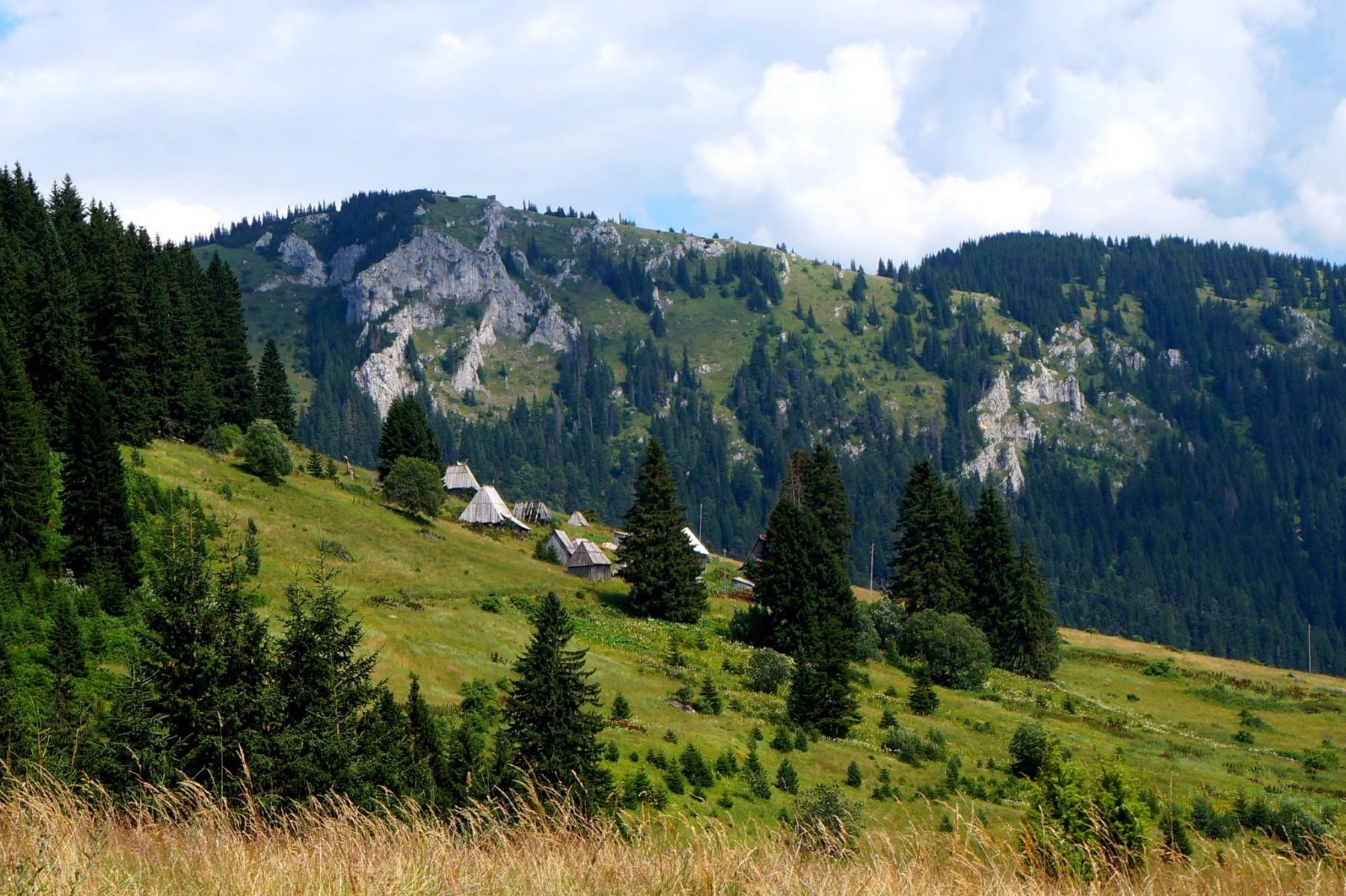 Ljubisnja mountain pljevlja montenegro