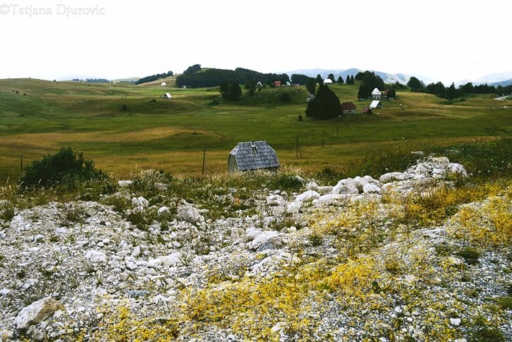 mountain-house-in-the-fields-of-durmitor