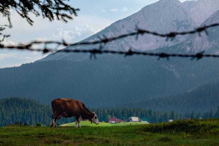 Montenegro, Durmitor National Park