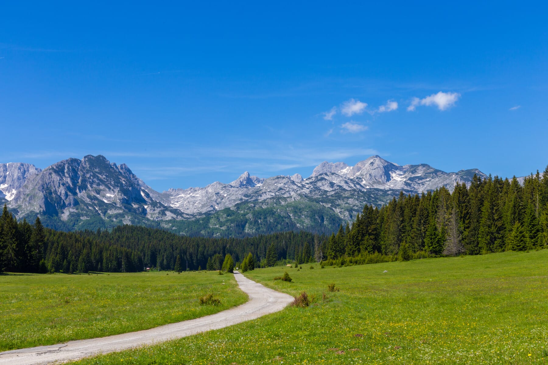 e Durmitor National Park, Balkans. The village of Zabljak, Montenegro, Europe.