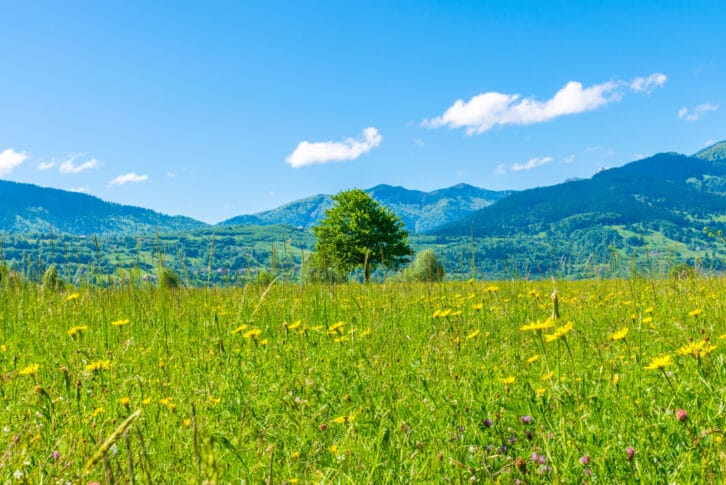Unusual lake Plav among the picturesque mountain peaks of Monten