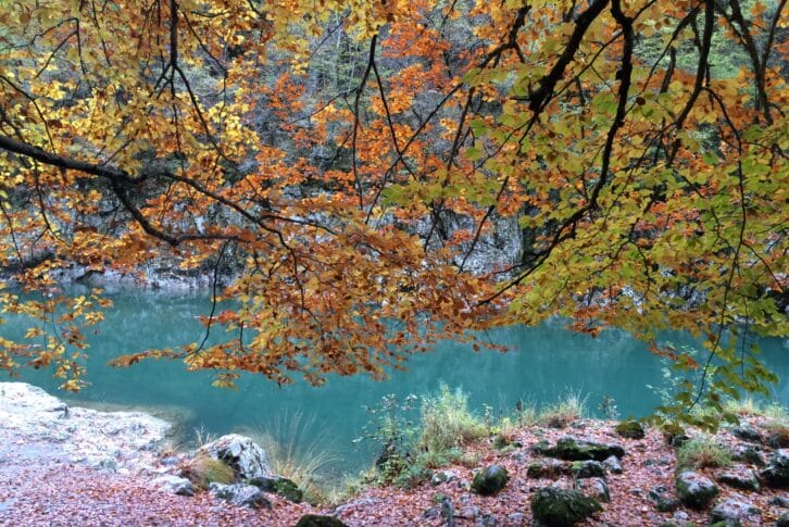 Fishing ground on the river Cehotina Pljevlja Montenegro