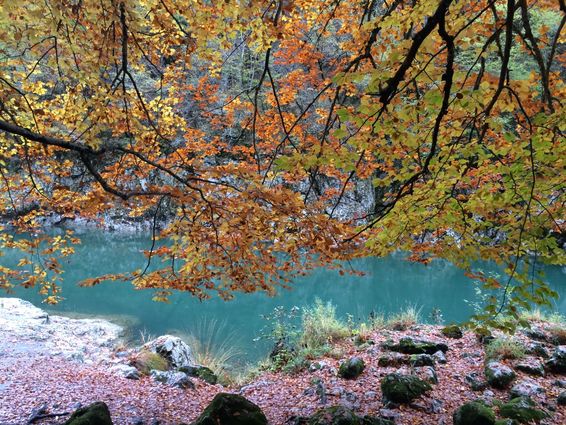 Fishing ground on the river Cehotina Pljevlja Montenegro