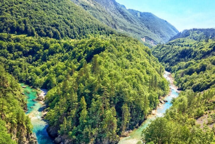 tara canyon surrounded by coniferious forest beautiful montenegro adventure