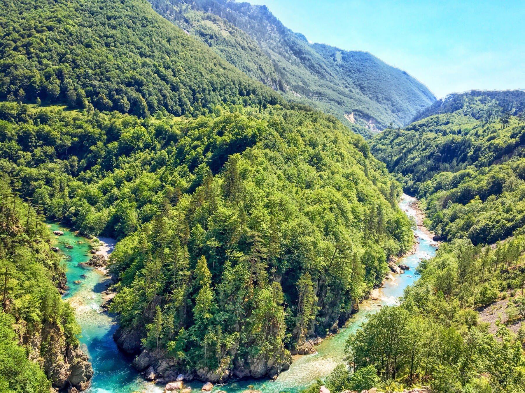 tara canyon surrounded by coniferious forest beautiful montenegro adventure
