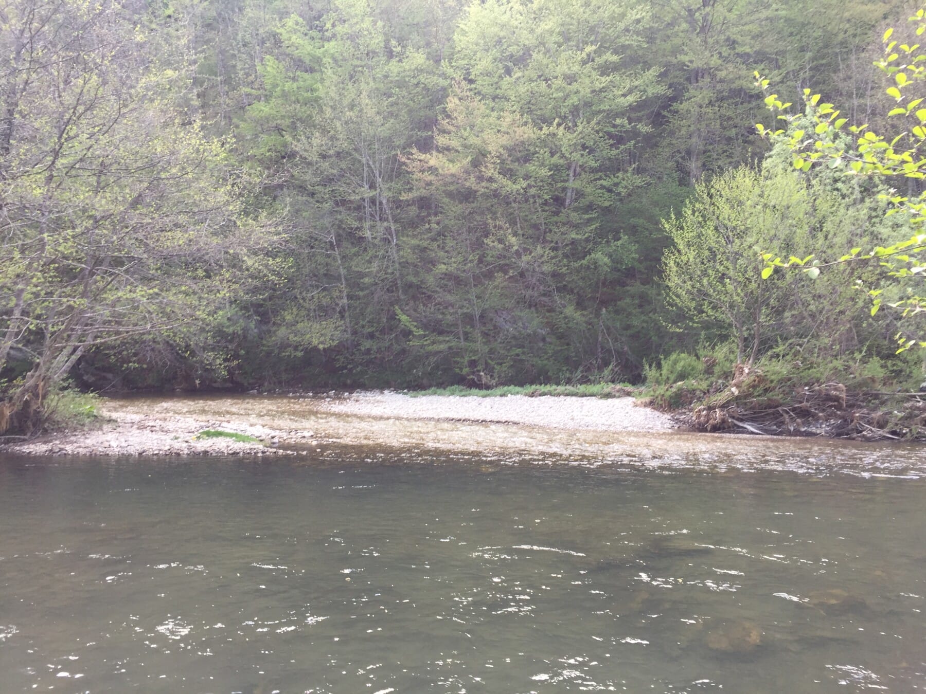Voloder rivulet flows into Ćehotina