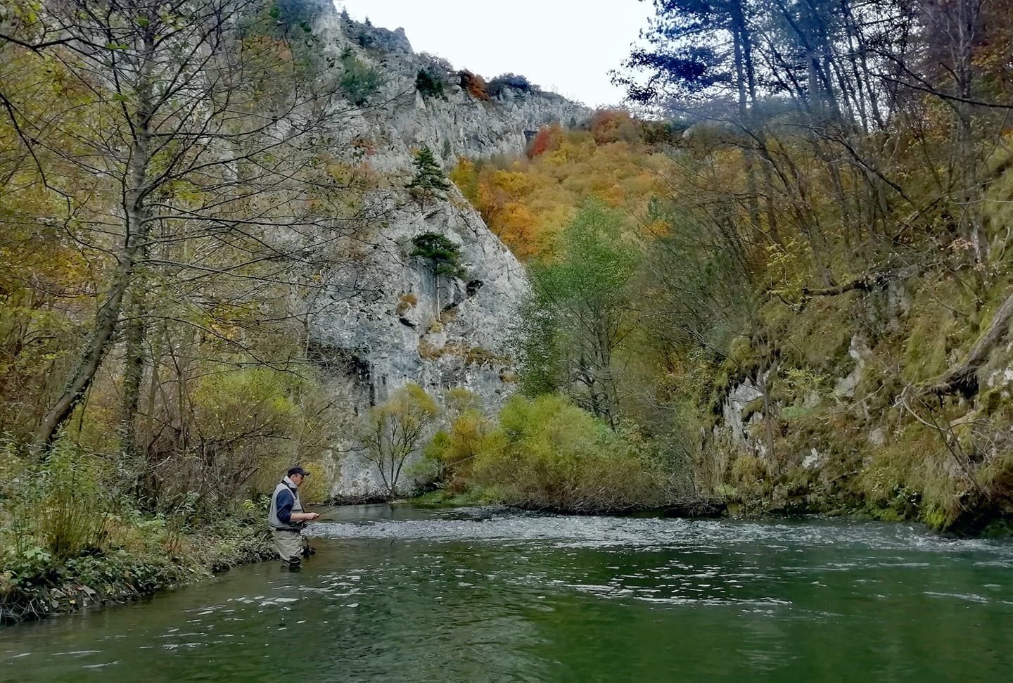 Lipljen fly fishing Cehotina - Rabitlje