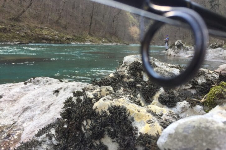 Beautiful nature and ambient for fishing, Tara river