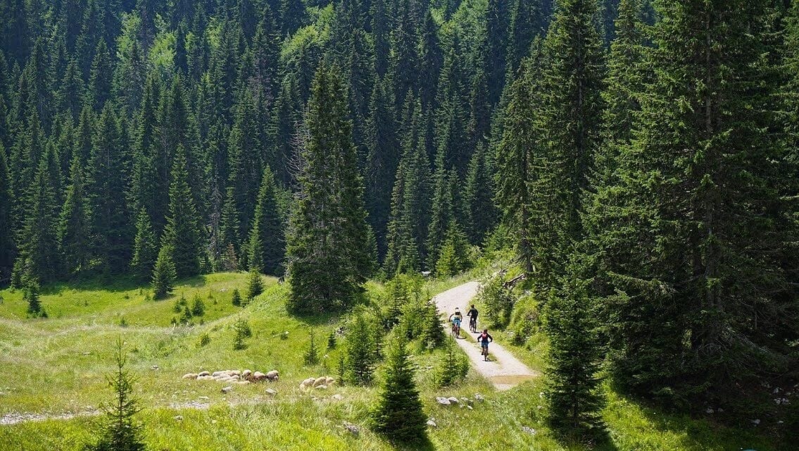 Mountain bike Durmitor trails