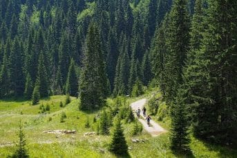 Mountain bike Durmitor trails