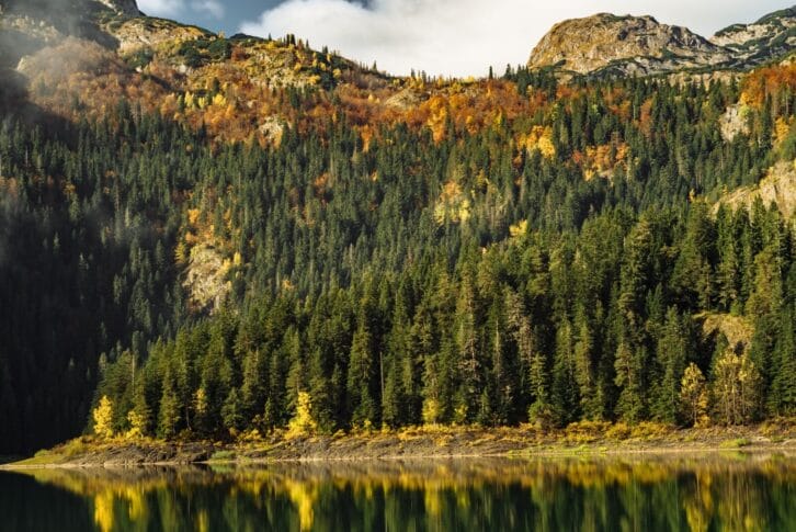 Autumn Black Lake, Durmitor National Park, Zabljak, Montenegro