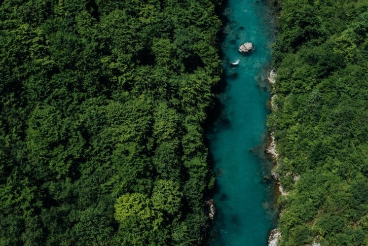 Canyon of the Tara River in spring in Montenegro