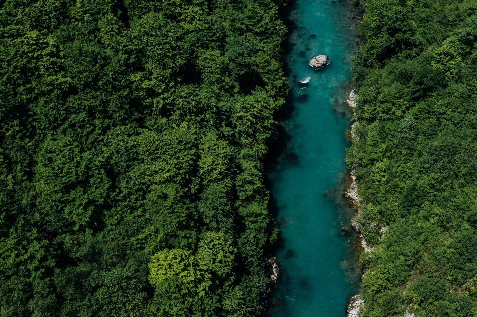 Canyon of the Tara River in spring in Montenegro