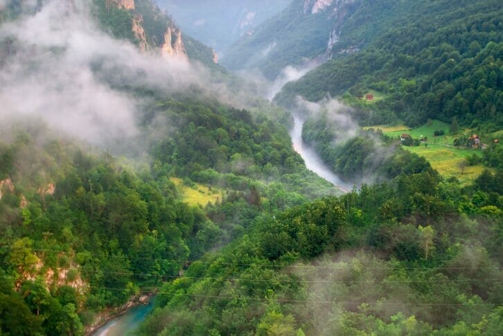 Canyon in city Zabljak