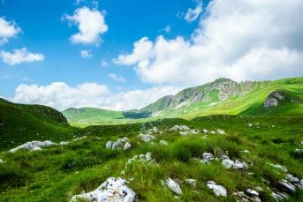 stones on grass in valley of Durmitor massif, Montenegro