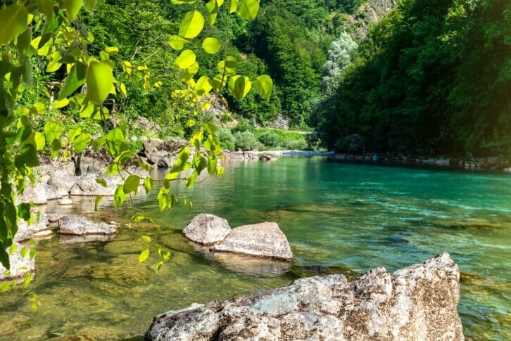 Tara river Montenegro