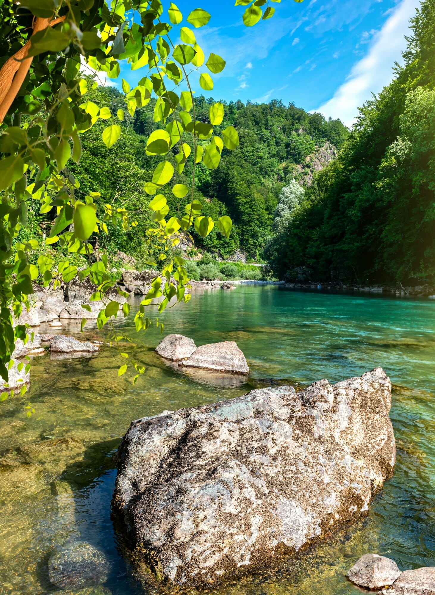 Tara river Montenegro