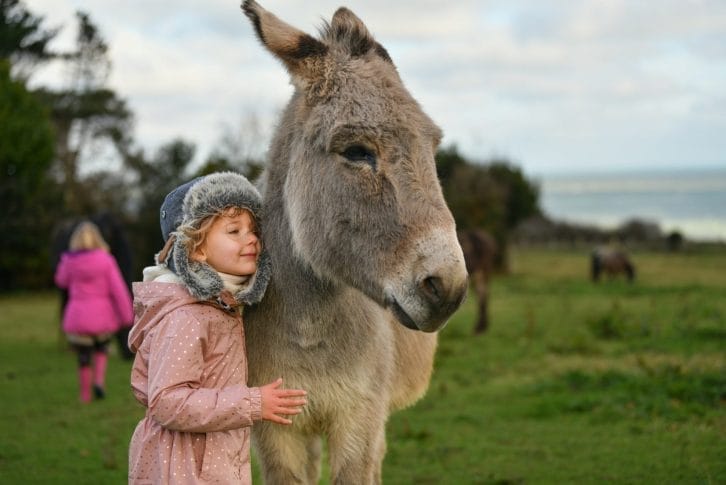 A girl hugging a donkey